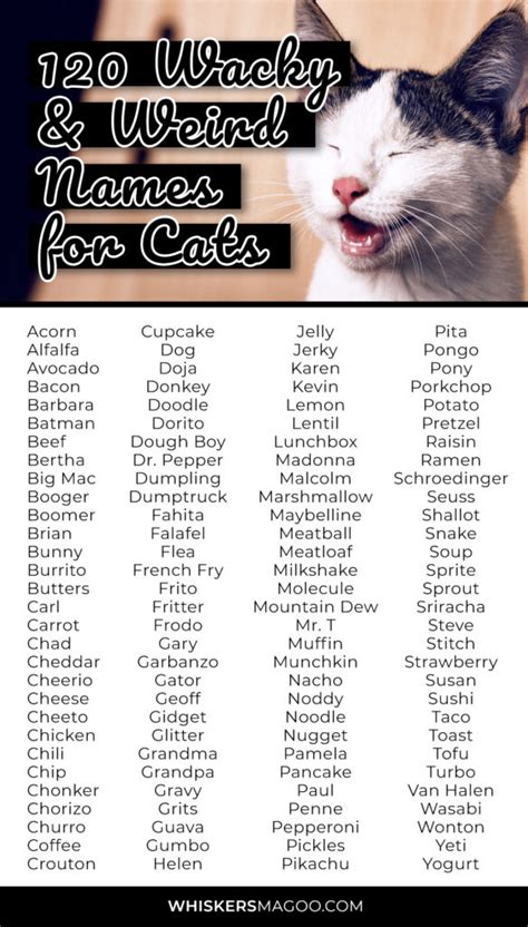 odd cat names